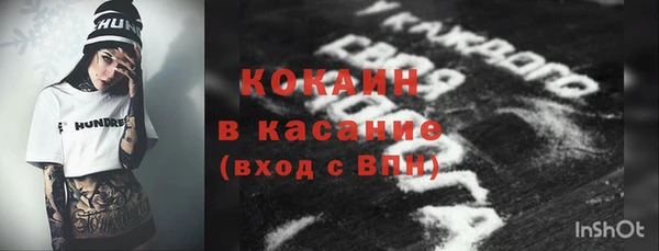 твердый Абаза