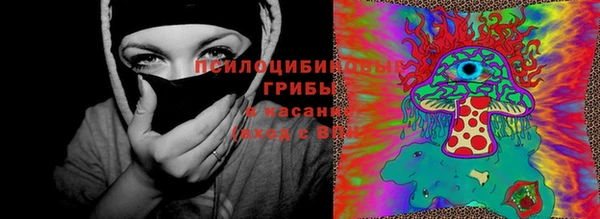 гидра Алексин