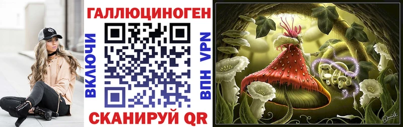 Галлюциногенные грибы Cubensis  цены   Миллерово 
